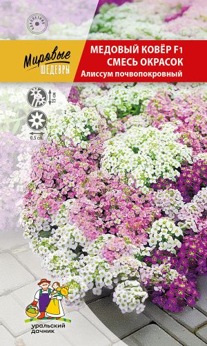 Алиссум почвопокровный МЕДОВЫЙ КОВЁР F1 СМЕСЬ ОКРАСОК