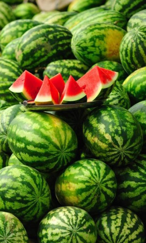 Арбуз ИМПУЛЬС