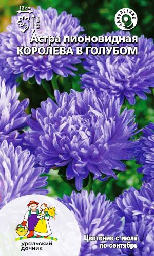 Астра КОРОЛЕВА В ГОЛУБОМ