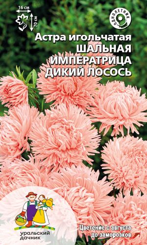 Астра ШАЛЬНАЯ ИМПЕРАТРИЦА ДИКИЙ ЛОСОСЬ