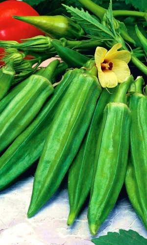 Бамия (окра) БОМБЕЙ