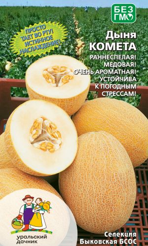 Дыня КОМЕТА