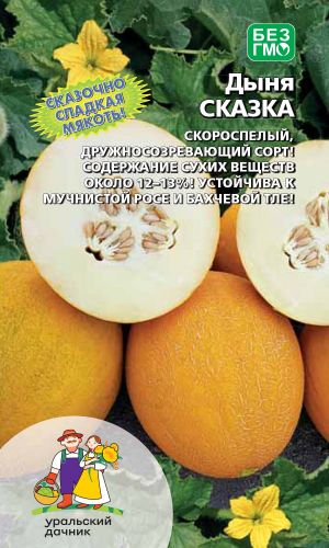 Дыня СКАЗКА