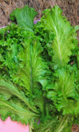 Горчица листовая ВОЛНУШКА