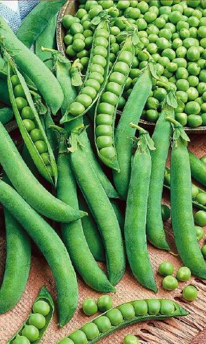 Горох АМБРОЗИЯ 10 г