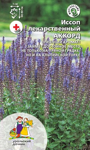 Иссоп АККОРД