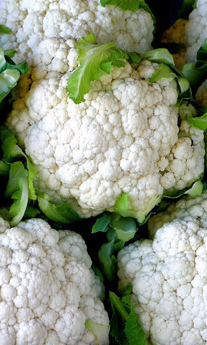 Капуста цветная СЛИВОЧНЫЙ ПЛОМБИР F1