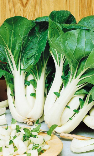 Капуста китайская КРАСА ВОСТОКА