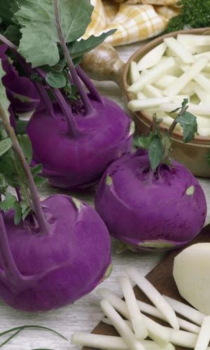 Капуста кольраби СОНАТА F1