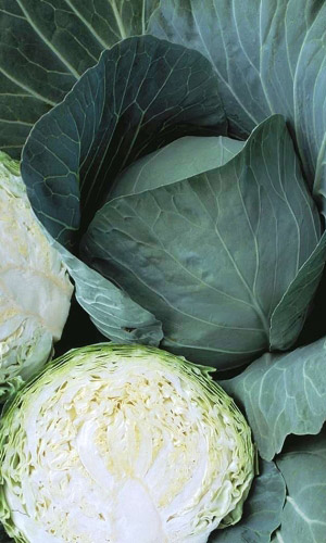 Капуста ЛЁЖКИЙ F1