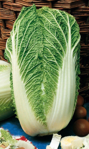 Капуста пекинская НЕЖНОСТЬ F1