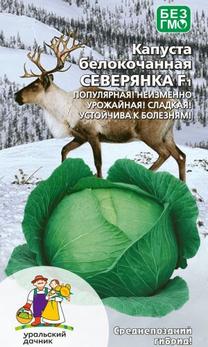 Капуста СЕВЕРЯНКА F1