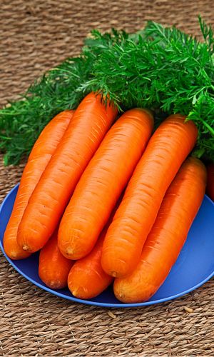 Морковь НИИОХ-336