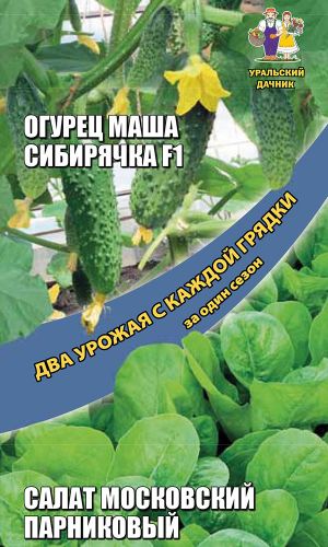 Набор овощей Салат + Огурец