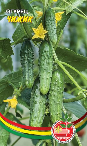 Огурец ЧИЖИК