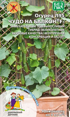 Огурец Л 95 ЧУДО НА БАЛКОН F1