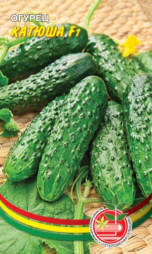 Огурец КАТЮША F1