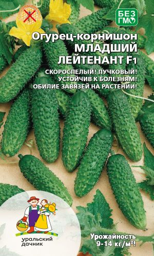 Огурец МЛАДШИЙ ЛЕЙТЕНАНТ F1