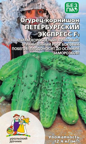 Огурец ПЕТЕРБУРГСКИЙ ЭКСПРЕСС F1