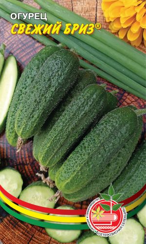 Огурец СВЕЖИЙ БРИЗ