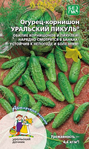 Огурец УРАЛЬСКИЙ ПИКУЛЬ &mdash; Обилие корнишонов и пикулей! Нарядно смотрится в банках! Устойчив к непогоде и болезням!