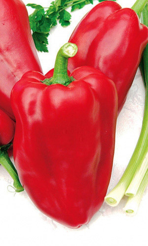 Перец АРСЕНАЛ