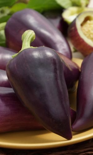 Перец ЦЫГАНСКИЙ БАРОН