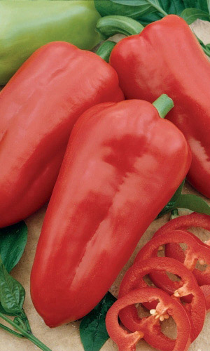 Перец КАВАЛЕР