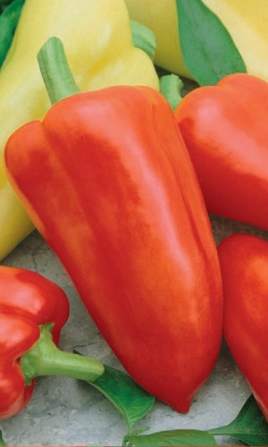 Перец ВАЛЕНТИНКА