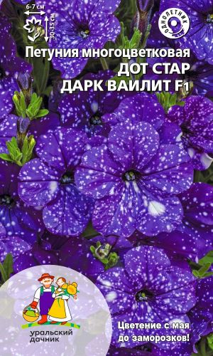 Петуния ДОТ СТАР ДАРК ВАИЛИТ F1