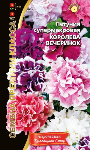 Петуния КОРОЛЕВА ВЕЧЕРИНОК супермахровая