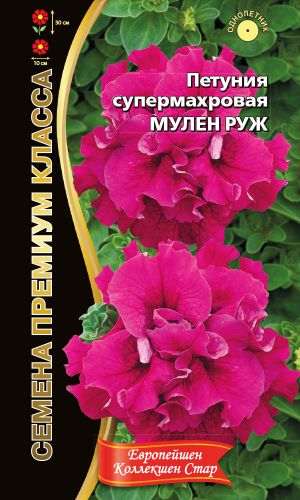 Петуния МУЛЕН РУЖ супермахровая