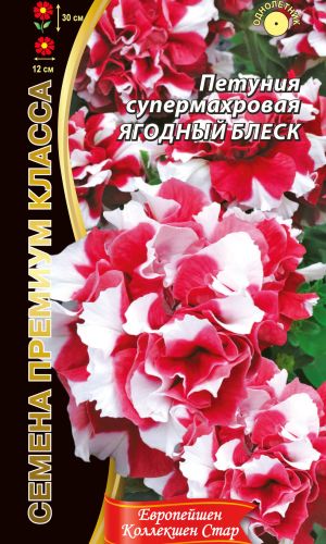 Петуния ЯГОДНЫЙ БЛЕСК супермахровая