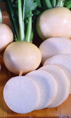 Репа СНЕЖНЫЙ ШАР