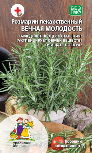 Розмарин ВЕЧНАЯ МОЛОДОСТЬ