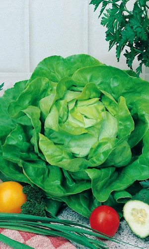 Салат НАДИН