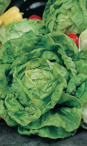 Салат ВЕЛИКИЕ ОЗЁРА