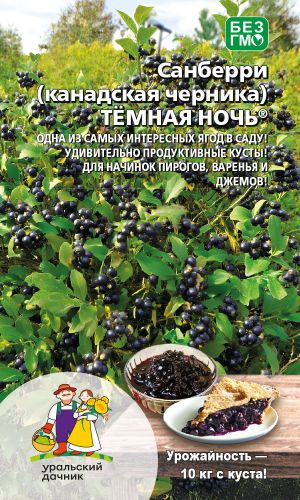 Санберри (канадская черника) ТЁМНАЯ НОЧЬ