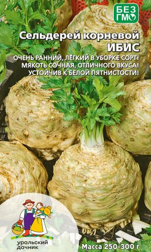 Сельдерей корневой ИБИС