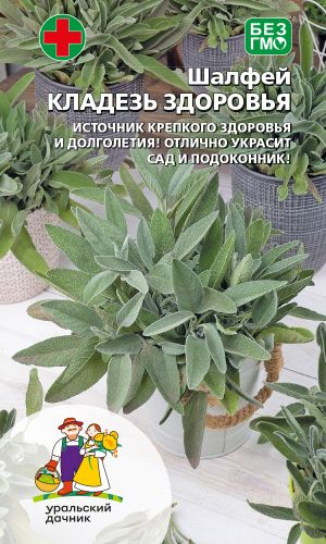 Шалфей КЛАДЕЗЬ ЗДОРОВЬЯ