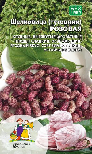 Шелковица (тутовник) РОЗОВАЯ