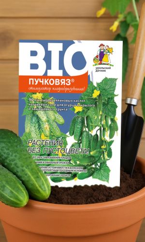 Стимулятор плодообразования ПУЧКОВЯЗ ОГУРЕЦ