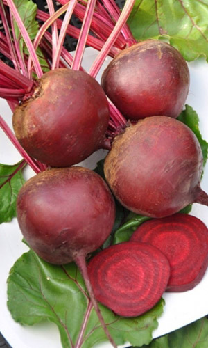 Свёкла БОРДО ОДНОСЕМЯННАЯ