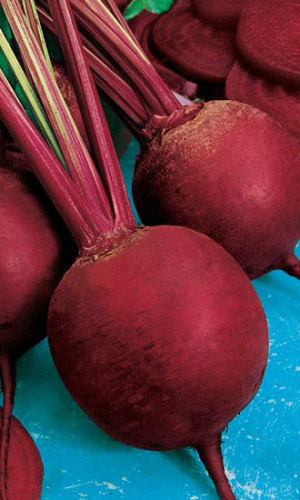 Свёкла ДЕТРОЙТ