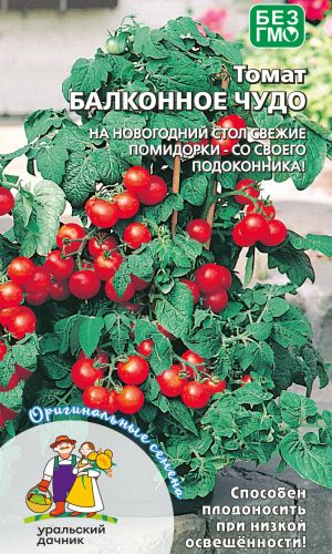 Томат БАЛКОННОЕ ЧУДО