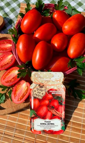 Томат БОЕЦ (БУЯН)