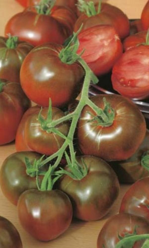 Томат ЧЁРНЫЙ КОТ F1