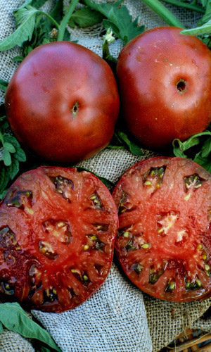 Томат ЧЁРНЫЙ ПРИНЦ