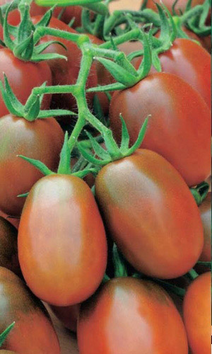 Томат ДЕ БАРАО ЧЁРНЫЙ