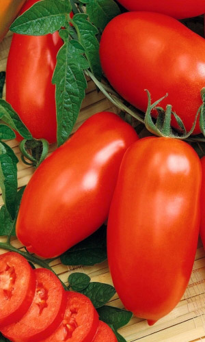 Томат ХОХЛОМСКИЕ УЗОРЫ